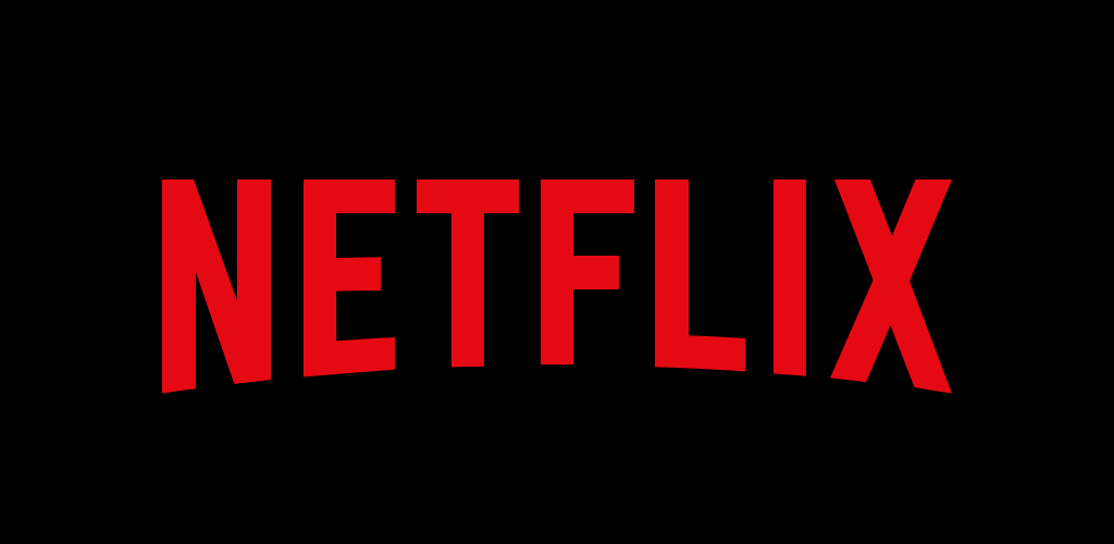 Netflix de 1 ano